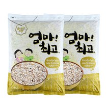 20곡 담은쌀 4kg+4kg 진공소포장 잡곡 엄마최고