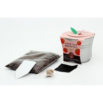 식물 채소 가꾸기 재배 관찰 화분키우기세트 유치원 원예수업용 씨앗모종 야채심기 정서발달, 방울토마토