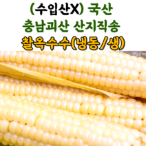 산지직송 충북 괴산 대학 찰 옥수수 냉동옥수수 생옥수수 삶은옥수수, 냉동_삶은찰옥수수_350g 이상 17cm이상(3입), 3팩