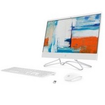 HP 일체형PC 24-F0100kr (펜티엄 4GB 128GB SSD+1T HDD WIN10) + 무선 키보드 + 마우스