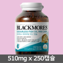 블랙모어스 r-TG 오메가3 미니 캡슐 510mg 240정 4개월분, 1병