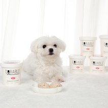 도러블 펫 아이스크림 120ml 세트 소형견 중형견 강아지 간식, 연어 2개+닭고기 2개