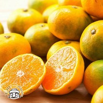 서귀포 하례마을 하우스감귤 2kg (대과 실중량), 단품