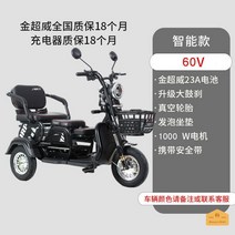 전동 삼륜차 세발 전기 스쿠터, 럭셔리 핏, 럭셔리 60V 1000W 골드 슈퍼웨이 23 배터리