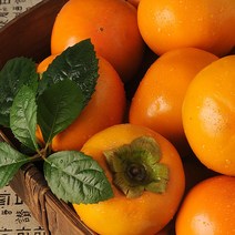 이베따 단감 10kg(51-60과)