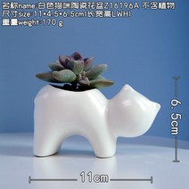 창조적 인 성격 만화 미니 다육 화분 세라믹 간단한 다채로운 귀여운 작은 동물 새해 선물, 구멍이있는 흰 고양이 세라믹 화분. 식물 없음