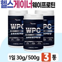 헬스 게이너 파우더 웨이 프로틴 WPC 컨센트레이트 아미노산 류신 발린 BCAA 프롤린 아르기닌 알라닌 중년 40대 50대 헬스 러닝 등산 무산소 중량 후 물에타먹는 단백질