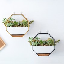 리리론스 인테리어 다육이 화분 미니 행잉화분걸이 벽걸이 화분 물빠짐 도자기 화분, 블랙