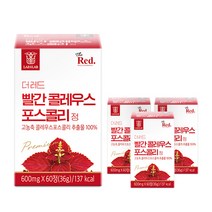 20배 고농축 더레드 빨간 콜레우스 포스콜리 추출 캡슐 알약 정, 60정, 4개, 60정