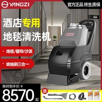 비쎌 스팀 청소기 무선 추천 고압 Yangzi 3-in-1 카펫 청소 기계 상업용 호텔 전용 당구장 소파 및 흡입 올인원, [02] 다기능 DT1 [카펫청소기+카펫 건조기/속건