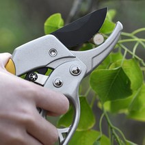 과수원 수확 고급형 커브 전지가위 원예 화훼 정원사 과일따기 나뭇가지 절단 절삭
