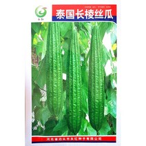 loquat 씨앗의 의식 봄 등반 포도 나무 농장 다이아몬드 혼 씨앗 팔각형 멜론 -옥타곤 팔각형 루파. Shouguang 야채 35 개의 곡물에 대한 Ridigo loof, default