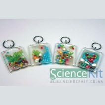 액화수지 경화제 실험 키트 투명열쇠고리 12인 초등과학교구 과학용품 실험교구 실험관찰 초등학교과학