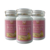 시서스 캡슐 50배 고농축 분말 추출물 오리지널 100% 씨서스 캡슐 1병당 60정 1정당 500mg 2병 120정 3병 180정 4병 240정, 3개