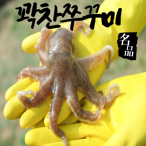 어부언니 쭈꾸미 생물 산지직송 국내산 알베기 알 활 당일발송 토요일 도착, 쭈꾸미2kg
