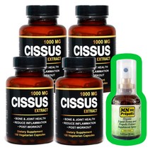 시서스 가루 캡슐 2+2 미국 직구 100개입(5달분) 알약 FDA 시저스 씨서스 분말 추천 ( 그린프로폴리스 스프레이 증정 ), 2+2병, 100g