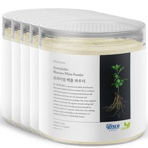 닥터비옴 100% 국산 삽주 백출가루 x 5개, 100g