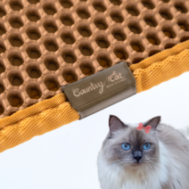 컨트리캣 특대형 사막화 고양이모래 방지 화장실 매트 발판, 그레이