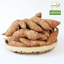[태안직송] 안면도 황토 꿀 호박고구마 (중상)3kg/5kg/10kg, 5kg