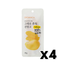 그대로 쫀득 건망고 건조과일 30g x 4개, 단품