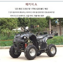 ATV 4륜 오토바이 농업용 바이크 해변 4륜바이크, 리틀 불 패키지 1