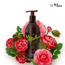 제주 모발 두피케어 모링가동백 샴푸 300ml, 1개