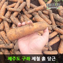 이츠올릿 제주 구좌 흙 당근 5kg 제주도 유기농 못난이 햇당근, 흙당근 특 10kg