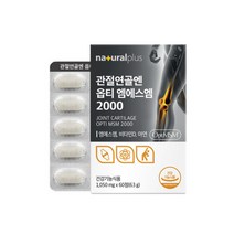 관절 연골 엔 옵티 엠에스엠 2000 식이유황 미국산 고순도 99.9% OPTI MSM, 1개, 60정