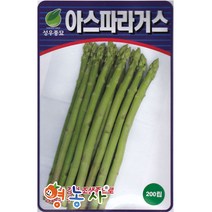 성우 아스파라거스씨앗 200립, 아스파라거스 200립, 1개