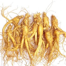 한명장 인삼, 600g