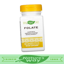 네이처스웨이 엽산 유전자변형성분없음 Folate 식이엽산당량 800mcg [100정*1병], 100정, 1병