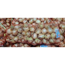 국내산 양파 2.5kg 5kg 19kg, 국내산 양파 중 10kg