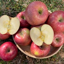 파몰 - 꿀사과 가정용 흠과 고급형 밀양 경북, 실속형 흠집사과 4kg (16~20과)