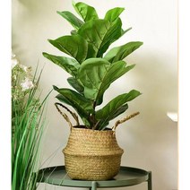 라탄 화분 바구니