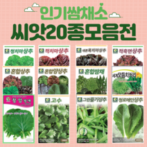 채소 씨앗 모듬 상추 쌈채 양상추 치커리 궁채 루꼴라 청경채 잎들깨, 16.청치커리, 1개