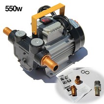 550W 독립형 전기 오일펌프 220V(단품/세트), 2.오일펌프+수동총세트
