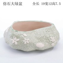 식물 리톱스 초미니 만손초 미니 듀가르손 사무실 특이한 다육이 화분 인테리어 다유기 선인장, 모조석 녹분, 중간 정도