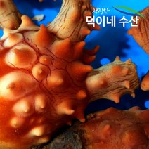 [당일생산] 통영 활멍게 2kg 햇멍게 멍게 깐멍게 알멍게 통영산 산지직송 출시 좋아요, 깐멍게400G