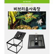 비브리움사육장 도마뱀 곤충 전갈 타란튤라 등각류 다트프록(소)