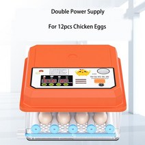 파충류 카멜레온 도마뱀 닭 앵무새 알 병아리 인큐베이터 인큐베이팅 부화기 12/16 이중 전기 컴퓨터 제어 시스템 자동 계란 암탉 고기 산업 높은 부화 능력, 12 US Plug, CHINA