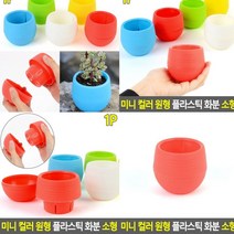 플라스틱화분 레드 옥상텃밭 상자텃밭 분재화분 베란다정원 빈화분 미니토분 프리지아화분 분갈이화분 실내텃밭 실내정원 독일토분 플랜트박스 상추화분 나무화분 텃밭상자 미니텃밭 대형플라스틱화분 이쁜화분 예쁜화분 베란다상추키우기 사무실화분 빈티지토분 집에서상추키우기 블루베리화분