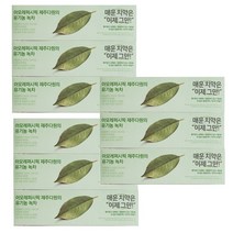 아모레 플레시아 치약 (그린티민트) 120g 9개, 120ml