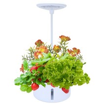 가정용 식물재배기 수경재배기 스마트팜 야채 재배기, M식물재배기, 화이트