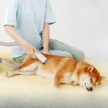 반려동물 털 진공 흡입기 빗질 트리머 미용 바리깡, 화이트