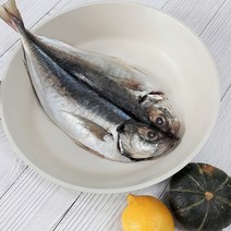 제주 전갱이 각재기 아지 가정용 1kg 2kg 식당용 10kg, 전갱이 자반 대 1kg  (3마리)