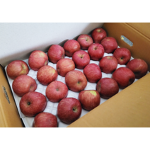 농원직송 경북 청송 햇 꿀부사 사과 중대과 1박스 10kg, 1개