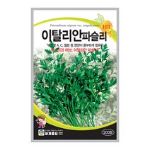 이탈리안파슬리 200립 / 다이어트채소 텃밭키우기 채소키우기 향나물