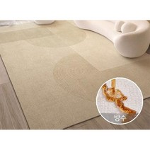 양탄자 럭셔리 벨벳 거실 카페트 초대형 극세사 방수 매트 부드러운 인테리어 단모 카펫 침실
