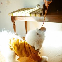 고양이 이갈이장난감 새끼강아지 터그놀이 딸랑이 로프토이 3색상, 웜그레이