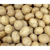 포슬포슬 맛있는 햇감자 수미감자 사이즈별, 20kg, 중 (통구이용), 1개